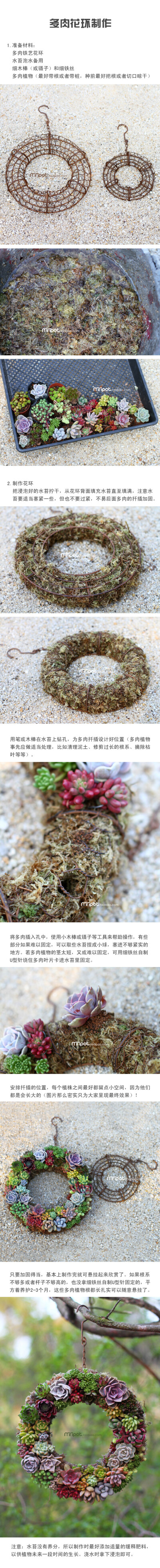 多肉花环制作步骤