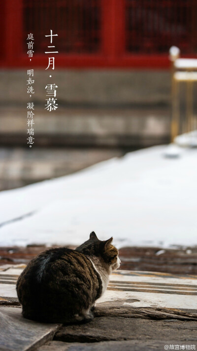 庭前雪，明如洗，凝阶祥瑞意。#紫禁城岁时#风停雪驻，雾散云开。攒了一夜的雪，蓬松的一层，铺满一座城，映衬着朝阳的温暖和霁空的清冽。【十二月•雪慕】已经开始期待和你再次重逢。