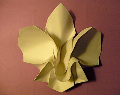 折纸兰花的折纸图解教程手把手教你制作精美的折纸兰花