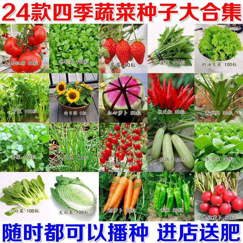 24种蔬菜种子套餐 易种阳台种菜 庭院蔬果菜籽春夏秋四季播包邮