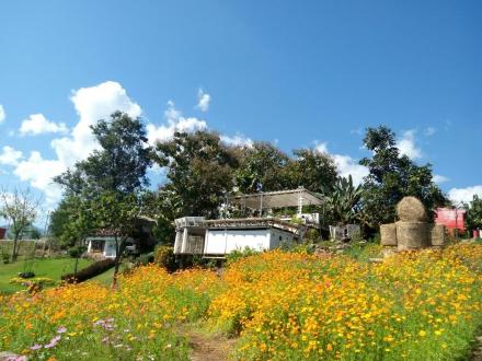 #时光机器旅拍#pai式小清新，以后会把这里作为主要旅拍地之一，很好取景。没有来过的可以预约明年的拍摄哦！ 2泰国·拜县