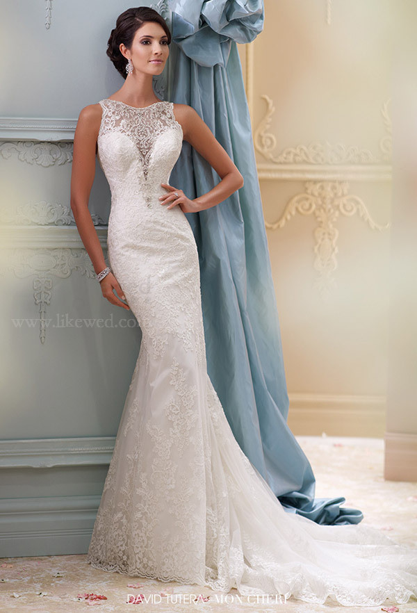 David Tutera for Mon Cheri 2015春季婚纱大片