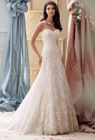 David Tutera for Mon Cheri 2015春季婚纱大片