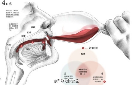 【葡萄酒你懂多少？】养颜红酒，你懂多少呢？赶紧来了解一下