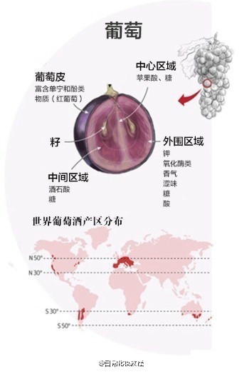 【葡萄酒你懂多少？】养颜红酒，你懂多少呢？赶紧来了解一下