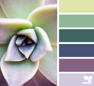 03.26.14 succulent hues