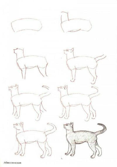画猫教程，简单易上手(转)
