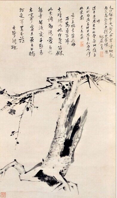 梅兰竹菊!——八大山人#学书画#朱耷（1626—约1705），明末清初画家，中国画一代宗师。本名由桵，字雪个，号八大山人、个山 、驴屋等，汉族，江西南昌人。明宁王朱权后裔。