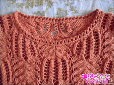 女士镂空棕叶花短袖毛衣编织款式、花样图解-编织乐论坛