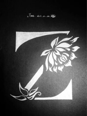 JANE 原创字母 手绘