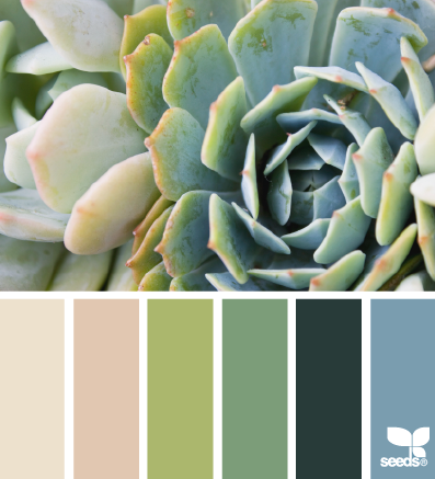 05.26.14 succulent hues