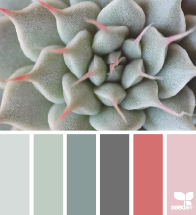 06.02.14 succulent tones