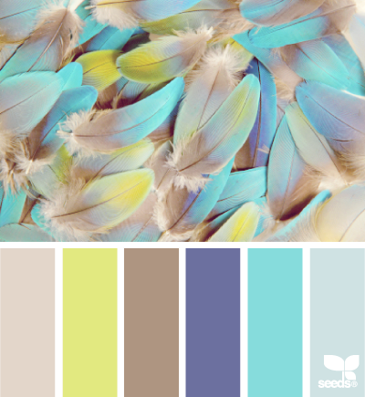 06.12.14 feathered hues