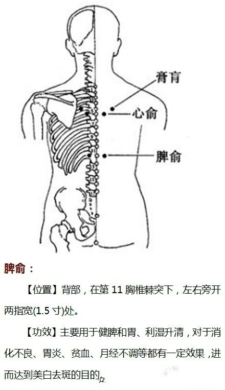 敲打九大穴位祛斑美容#护肤美容法#