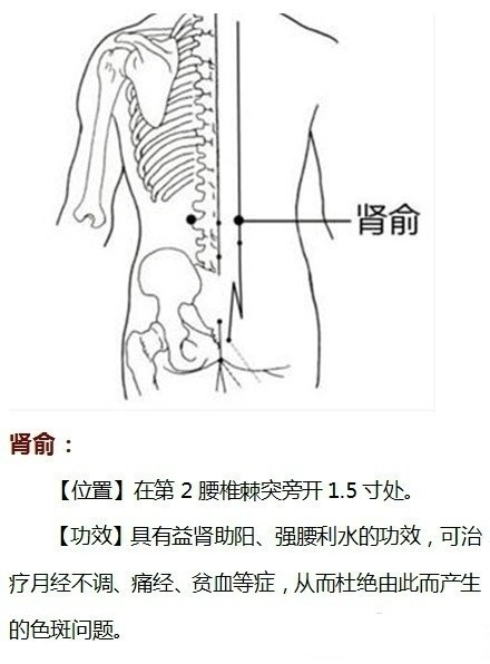 敲打九大穴位祛斑美容#护肤美容法#