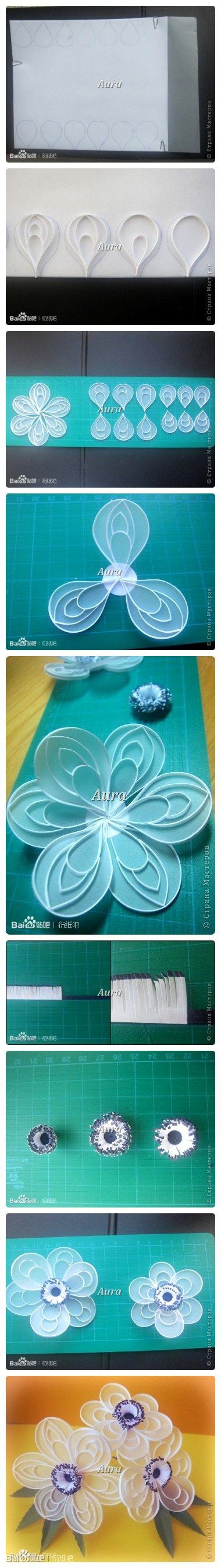 点击展开，查看完整图片