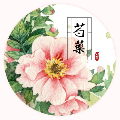 分装 国产回梦组原创和纸胶带 手账相册装饰必备 35cm 芍药