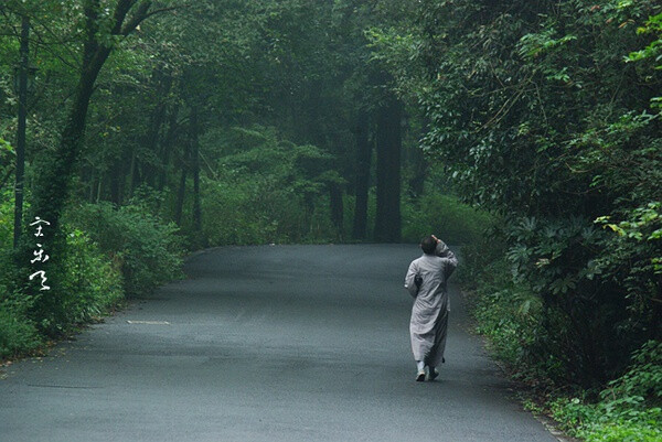 中法路的竹林小径