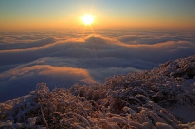 冰雪峨眉山，银装素裹、玉树琼枝，金顶与云海、雪山等交相辉映~