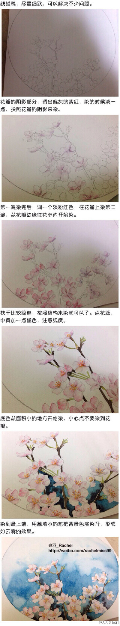 步骤详细的花卉水彩教程，分分钟学会！作者：羽_Rachel