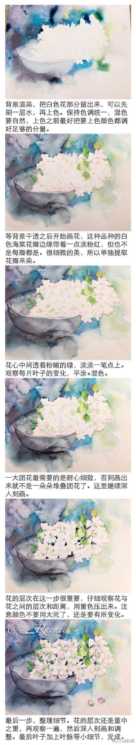 步骤详细的花卉水彩教程，分分钟学会！作者：羽_Rachel