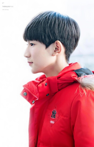 #TFBOYS王源# 似盛情花果，或飞蛾扑火。原来高歌青眼俱未老，少年仍壮阔；原来人海春光俱黑白，唯你声色鲜活。 @TFBOYS-王源