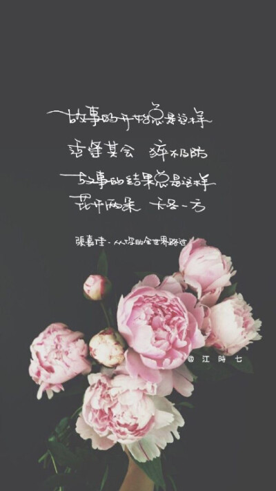 @一起练字 #一起练字# @张嘉佳 #从你的世界路过# 花開兩朵 妳一朵 我一朵。