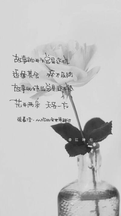 @一起练字 #一起练字# @张嘉佳 #从你的世界路过# 花開兩朵 妳一朵 我一朵。