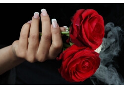 玫瑰花和指甲