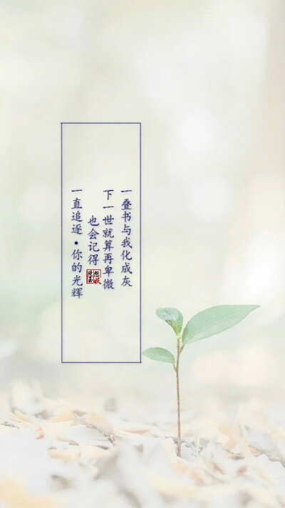 #盗墓笔记# 此生有幸得以遇见，文/柒落微 @长白无忧雪漫白头 ，图/绣魅玉妖。