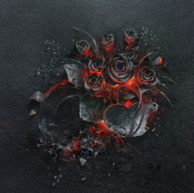 作品来自波兰的设计工作室 Ars Thanea作品名称为《The Ash》是将一束玫瑰花用火燃烧，并耐心地等到其处于火焰消失、却还未完全熄灭前的闷燃状态时，再进行拍照而得出摄影作品，并非ps。