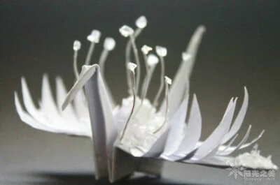 折纸 千纸鹤 创意 灵感