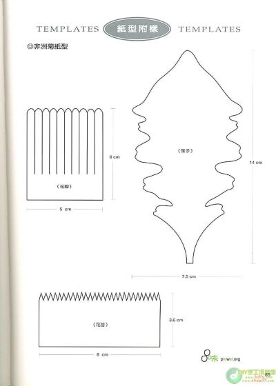 花纸型模板
