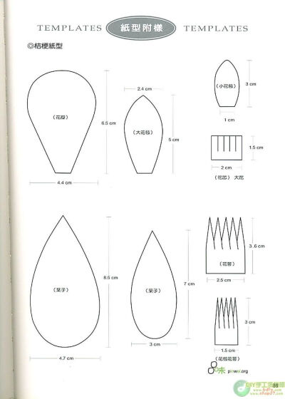 花纸型模板