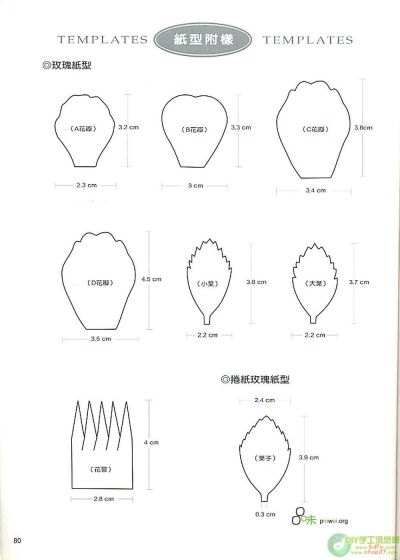 花纸型模板