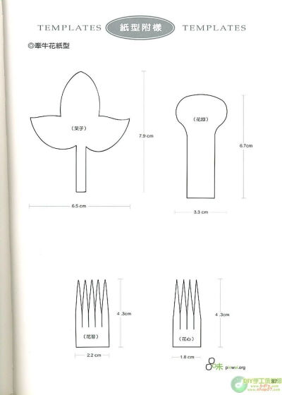花纸型模板