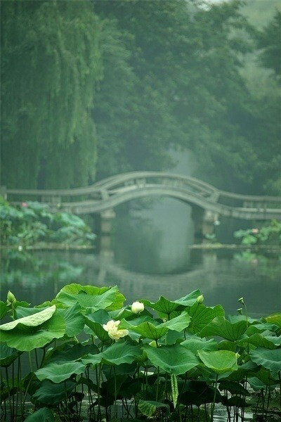 夜静忽疑身是梦,更闻寒雨滴芭蕉。