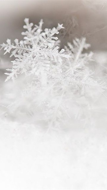 冬天雪花苹果动态壁纸下载