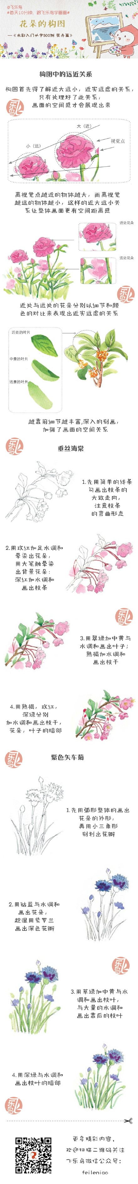 #每天10分钟，跟飞乐鸟学画画#画单个花朵画的怎么样啦？今天来学学构图中需要注意的地方吧！