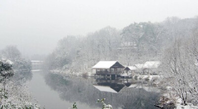 杭州下雪了 ❄️ 晚来天欲雪 能饮一杯无？