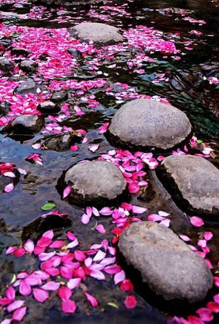 自在飞花轻似梦无边丝雨细如愁