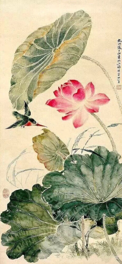 海派画家“四大名旦”的花鸟，美醉了！江寒汀是当代海派花鸟画第一人，为近现代海派小写意花鸟最重要代表画家，名列“海上花鸟四大名旦”之首。#书画界#