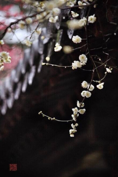 枕上诗书闲处好，门前风景雨来佳…