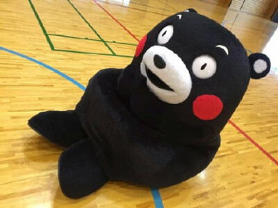 #kumamon# 运动mon！