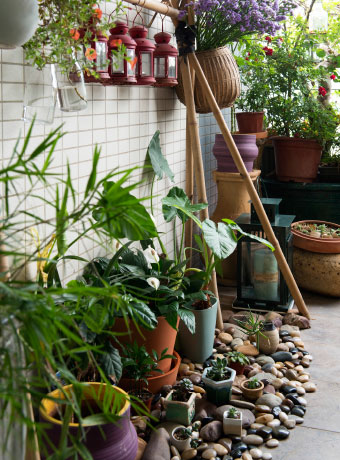 摆上大大小小的植物，把室外环境搬进都市阳台