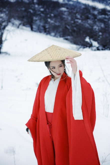 #汉服# #雪景# #冬之时 雪之霏# 云横秦岭家何在，雪拥蓝关马不前战退玉龙三百万，败鳞残甲飞满天