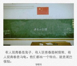 青春是一场高烧，怀念是紧接着好不了的咳。#笙南酒馆#