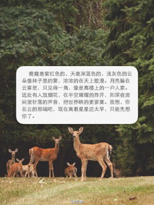 或者是明天，或者是梦里。我重新念起我最爱的诗，我独自一人，感动了所有的风和日丽。#笙南酒馆#