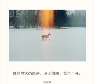 喜欢一双鞋就千山万水把它穿旧，爱一个人就不言不语陪他喝酒。