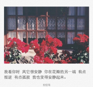 我以为除了你，我喝什么都喝不醉。可好像世间万物又都掺着你，我呼吸会醉，沉默也醉。